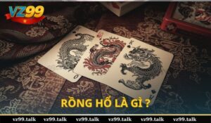 Rồng hổ là gì? Cách chơi rồng hổ Online tại Nhà cái VZ99